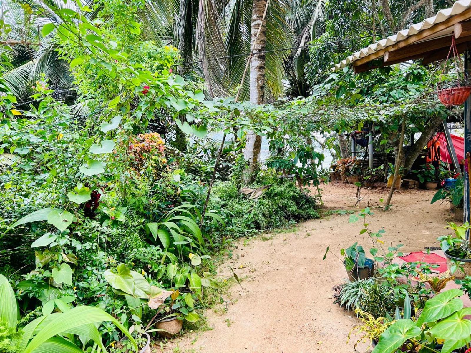 Surf Paradise Tangalle Bagian luar foto