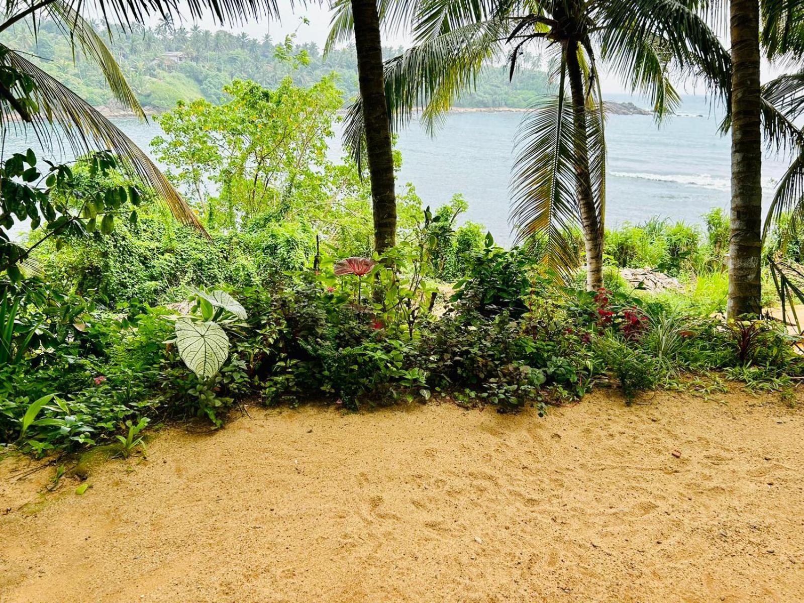 Surf Paradise Tangalle Bagian luar foto