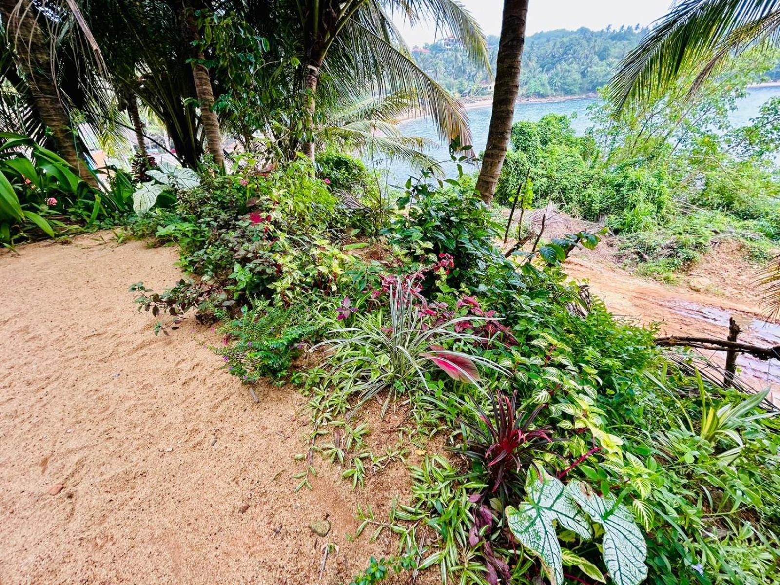 Surf Paradise Tangalle Bagian luar foto