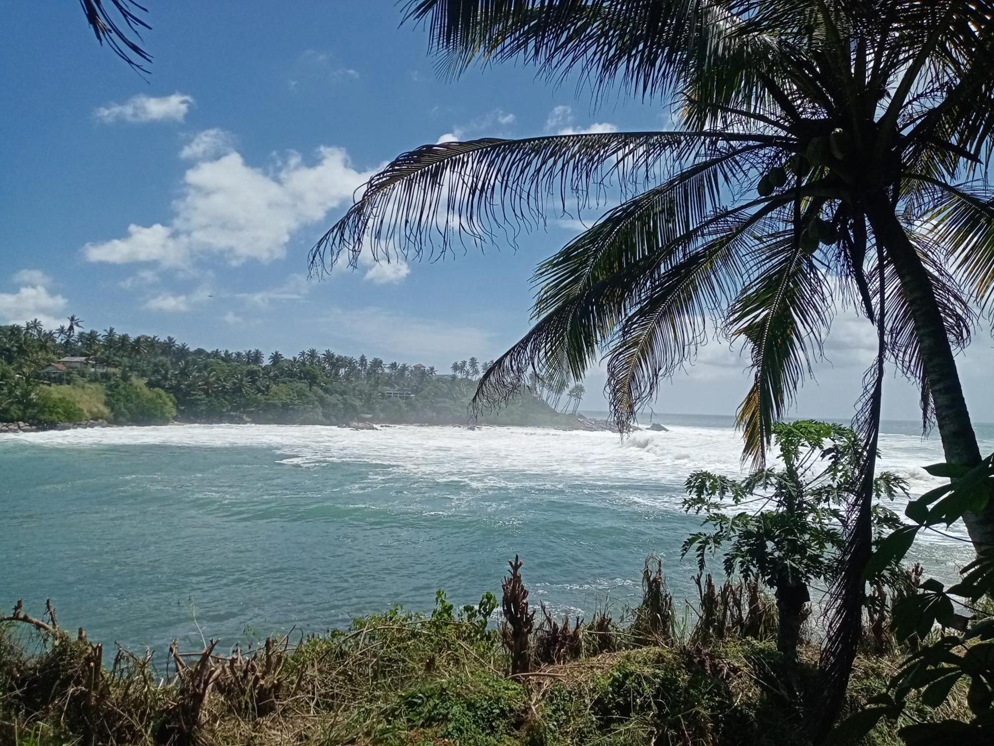 Surf Paradise Tangalle Bagian luar foto