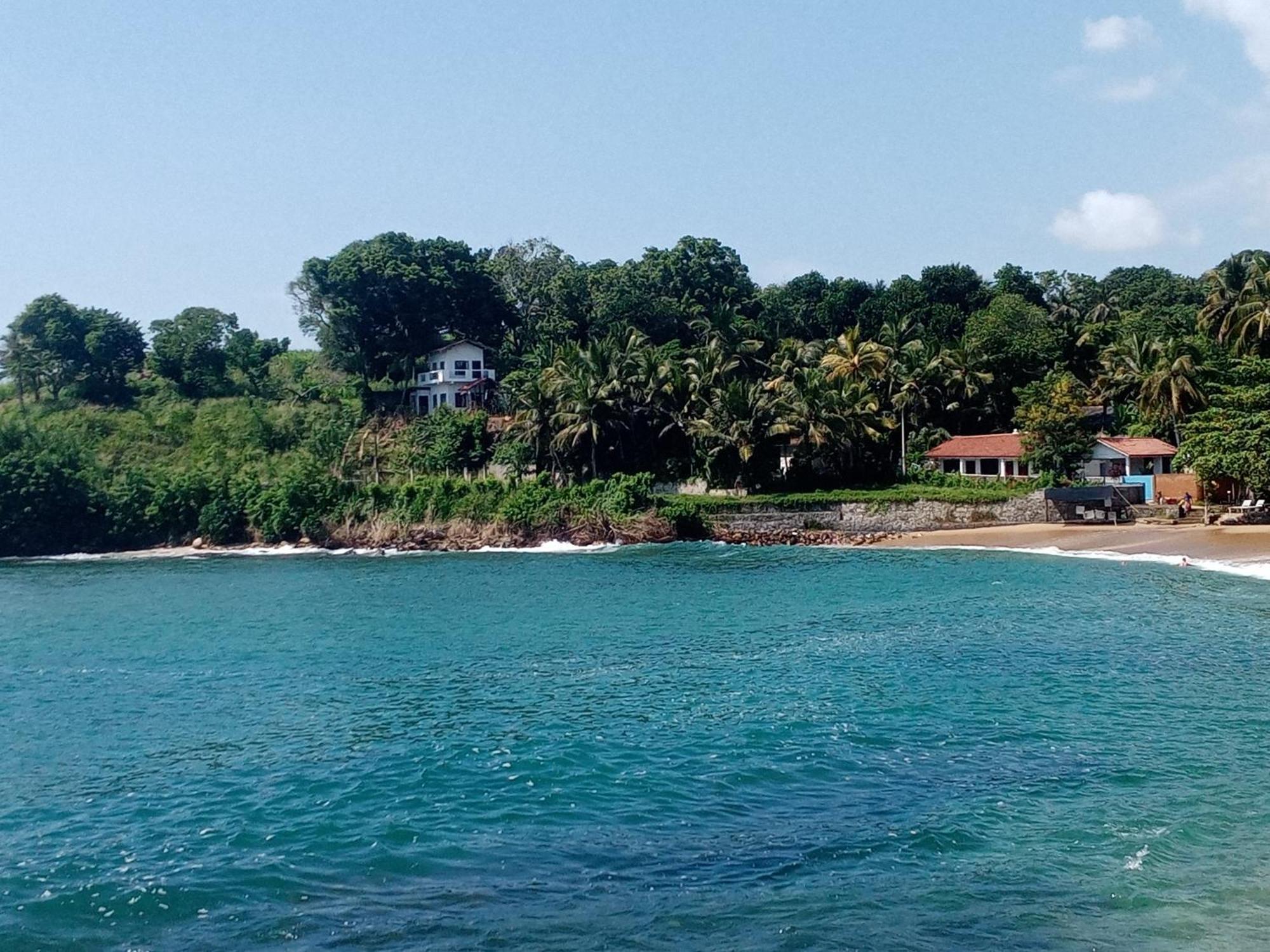Surf Paradise Tangalle Bagian luar foto